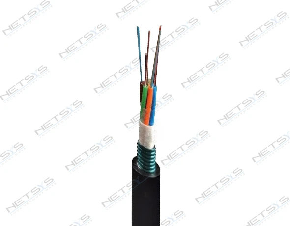 Fiber Cable 24 Core Multi Mode OM3 50/125 GYTS